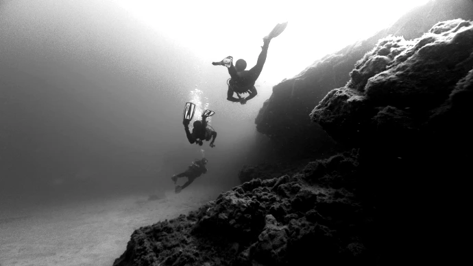 Divers explore a colorful underwater environment